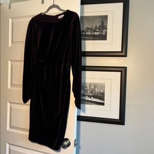 Calvin Klein Long Sleeve Velvet Dress in Deep Purple